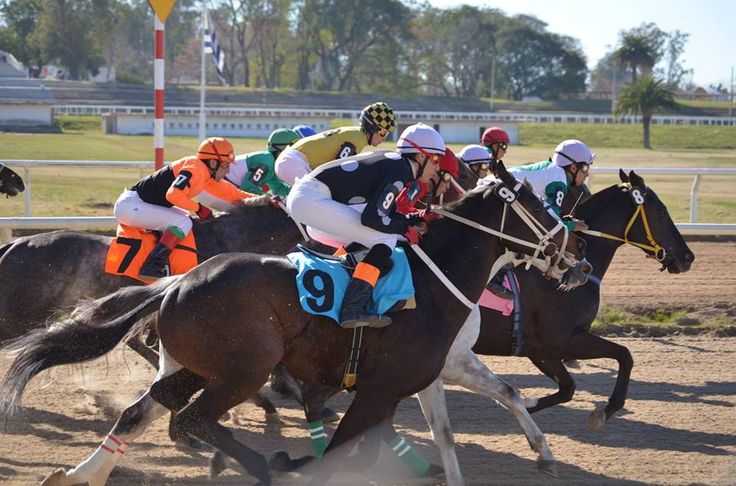 bong789,Bóng 789,nhà cái bong789,bong789 nổ hũ,bong789vn,bong789 vn,Trang chủ bong789